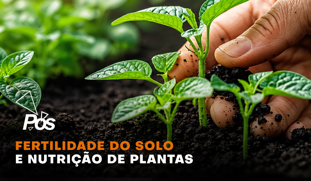 Fertilidade do Solo e Nutri��o de Plantas